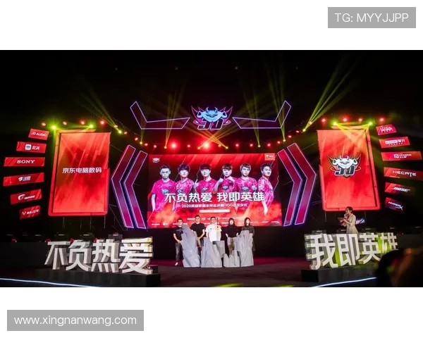 挑战者杯赛季回顾：JDG战队技术实力与战术执行的深度分析